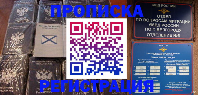 прописка гарантия в Острогожске